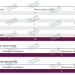LC inicia junio con ningún nuevo contagio positivo de COVID-19