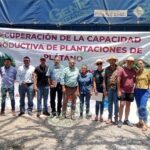 Inicia Sader entrega de fertilizantes a plataneros de Coahuayana