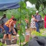 Desalojan indígenas de Aquila bloqueo de paterfamilias en El Triquis