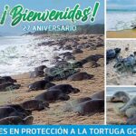 Invita Ixtapilla al 27 aniversario del campamento Tortuguero Punta Ixtal