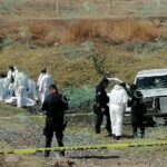 Localizan cinco cadáveres de hombres en fosa clandestina