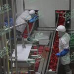 En Michoacán, sigue en aumento la generación de empleos formales