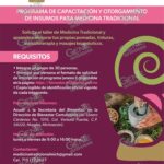 Fomenta Bienestar el autoempleo en mujeres en los 113 municipios de Michoacán