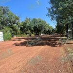 Preparan jardín del Ceconexpo para el Festival Michoacán de Origen 2023