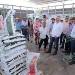 Disponible 70% del fertilizante gratuito para agricultores del estado: Bedolla