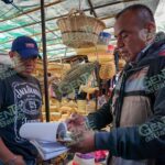 Realiza Segob censo de comerciantes en el mercado de Pátzcuaro