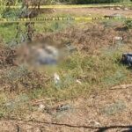 Localizan cadáver de una joven mujer