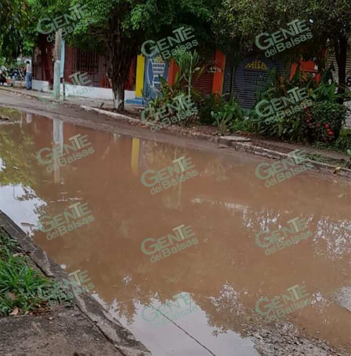pagina1a30