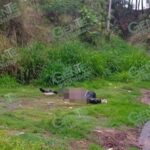 Localizan cadáveres maniatados de dos hombres
