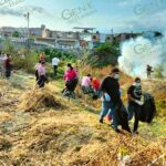 Refuerza SSM, acciones para el combate del dengue en temporada de lluvias