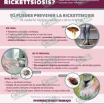 Sigue recomendaciones de la SSM para prevenir la rickettsiosis
