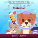 Cumple Michoacán 27 años libre de rabia en humanos