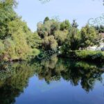 Cuenca del Río Duero será ejemplo de preservación ambiental: Secma