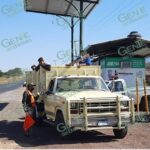 Michoacán suma 9 puntos de verificación sanitaria de cítricos