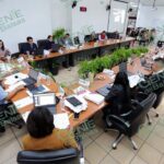 Aprueba IEM criterios para la postulación de candidaturas por acciones afirmativas
