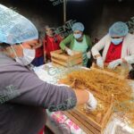 Más de 14 mil familias campesinas recibieron hongo seta para mejorar su alimentación