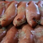 Sigue estas claves de la SSM para evitar enfermedades por alimentos en mal estado