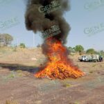 Incineran más de 400 kilos de droga asegurada en diferentes operativos