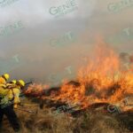 Al estar combatiendo el fuego, una brigadista muere calcinada