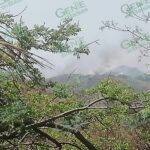 El incendio en la costa podría quedar controlado el sábado