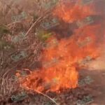 Piden auxilio gubernamental para sofocar incendios en cerros de Chucutitán