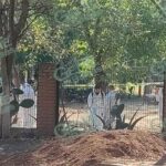 Solitario sujeto asesina de cinco balazos a catedrático de la UMSNH