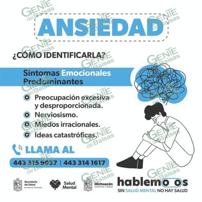 pagina1g29