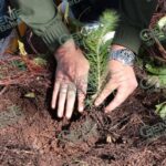 Ambientalista y sustentable, así es el nuevo PRD Michoacán