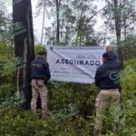 Cumplimenta FGE orden de cateo en predio relacionado en delitos contra el ambiente, en el municipio de Madero