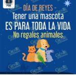 Fiscalía General refuerza acciones para erradicar la venta de animales en el operativo de Día de Reyes