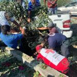 Muere en un hospital mujer atropellada en Guacamayas; su mejor hijo sigue grave
