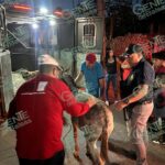 Vinculan a proceso a Álvaro “N” por maltrato animal
