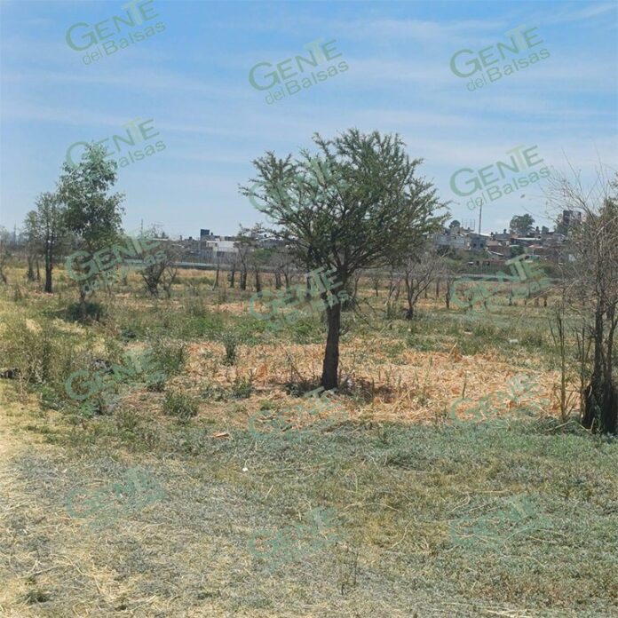 pagina3a14
