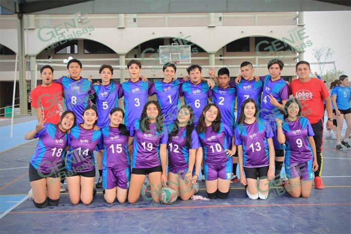 pagina3b17