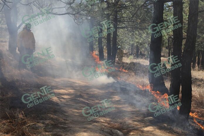 pagina5a19