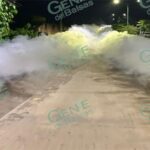 Mutación de mosco del dengue infecta a pobladores de la sierra de Aquila