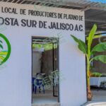 Comunican paro de corte de cosecha en Jalisco
