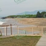 Inició ayer miércoles arribazón de tortugas a la playa de Ixtapilla