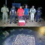 Marina recupera huevos de tortuga en la costa michoacana