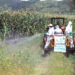 Gobierno de Morelia apoya a productores agrícolas