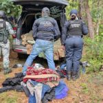Tras denuncia, GN destruye 6 campamentos clandestinos en Zirahuén