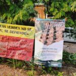 Vecinos defienden áreas verdes impidiendo que sean ocupadas