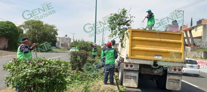 pagina3c22