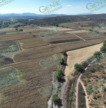 Conagua tecnificará más de mil hectáreas en el DR 020 Morelia–Queréndaro