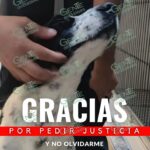 Triunfa Huesitos en los tribunales: justicia declara culpable a su agresora