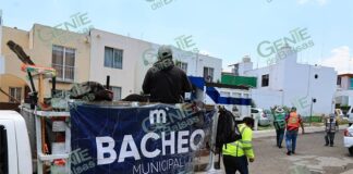 Gobierno de Morelia encabeza poda y mantenimiento de espacios para la ciudadanía