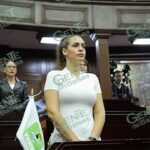 Endurecer penas por tala ilegal y devastación forestal en Michoacán, propone diputada Sandra Arreola