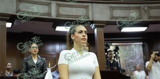 Endurecer penas por tala ilegal y devastación forestal en Michoacán, propone diputada Sandra Arreola