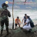 Personal naval resguarda nido de tortuga marina