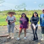 Celebran afros El Ticuiz Día del Mangle con siembra en Mezcala